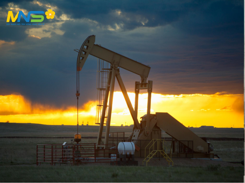 giá xăng dầu của thế giới và trong nước 