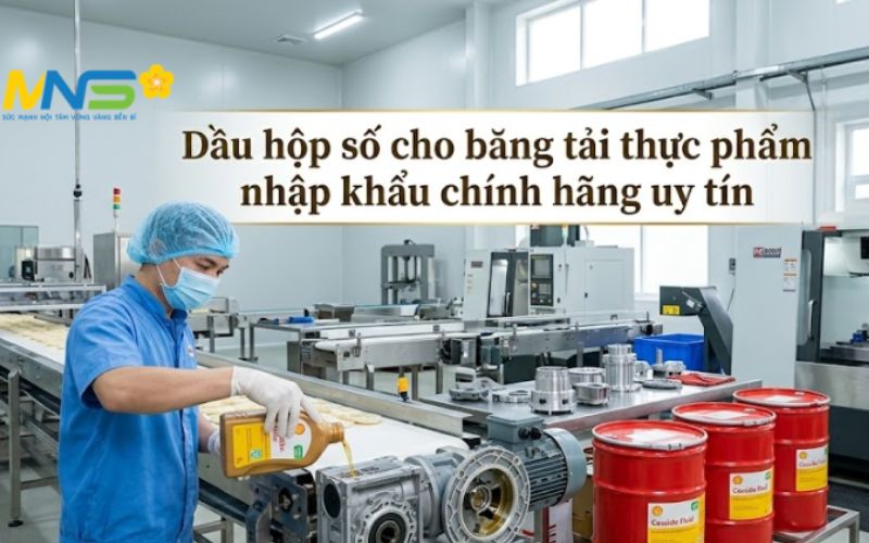 Dầu hộp số cho băng tải thực phẩm nhập khẩu chính hãng uy tín Dầu hộp số cho băng tải thực phẩm