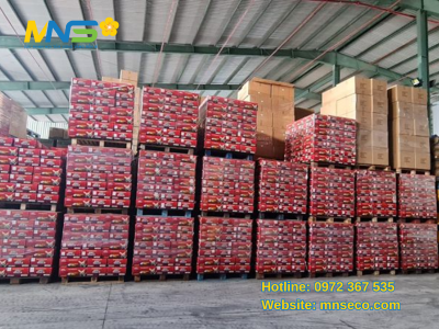 nhà cung cấp dầu nhớt ở hà nội